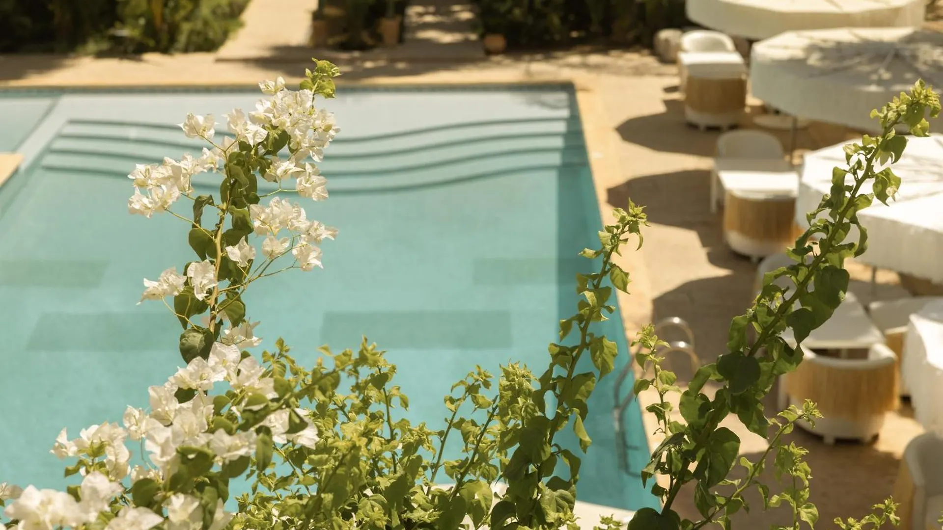 Les Palmiers Boutique Hotel & Spa Марракеш
